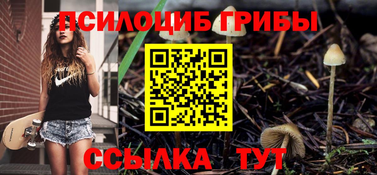 Сокол  где найти   Псилоцибиновые грибы ЛСД  Вход с VPN  Псилоцибиновые грибы ЛСД 